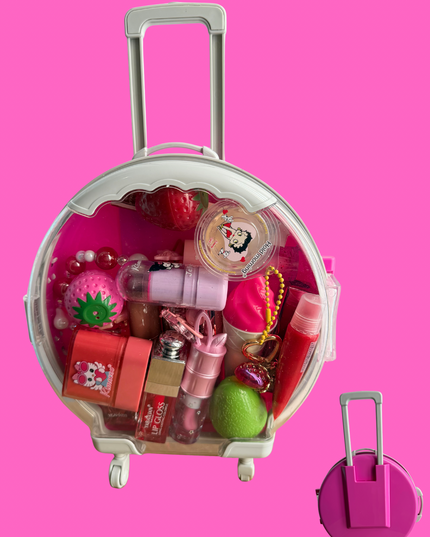Large Suitcase bundle 25 pcs lips products