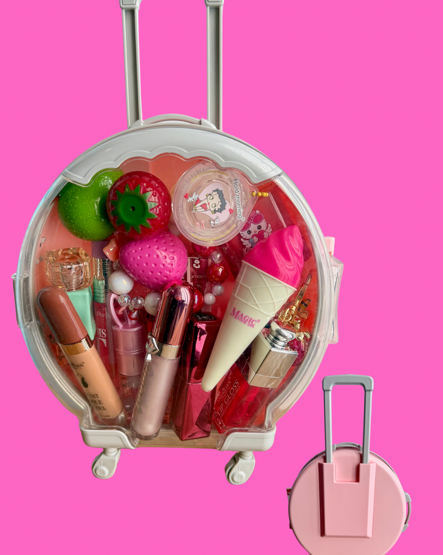 Large Suitcase bundle 25 pcs lips products